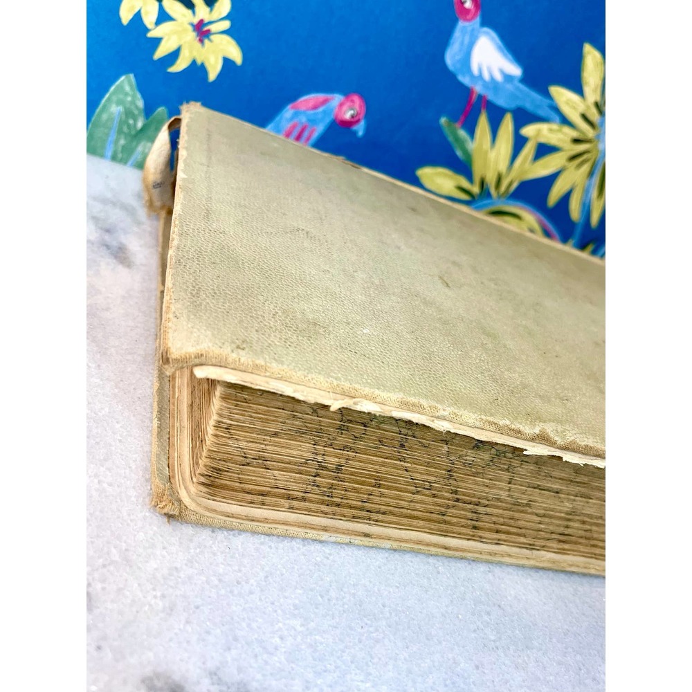 Antique Blue Ribbon Cookbook - Picture 6 of 6